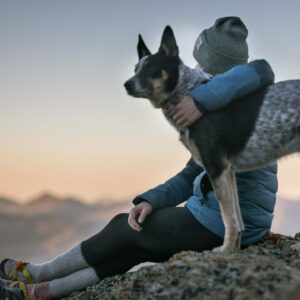 Photo d'illustration du module 1 de la saison 2 - Individu regardant l'horizon avec son chien