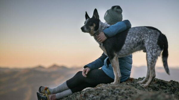 Photo d'illustration du module 1 de la saison 2 - Individu regardant l'horizon avec son chien